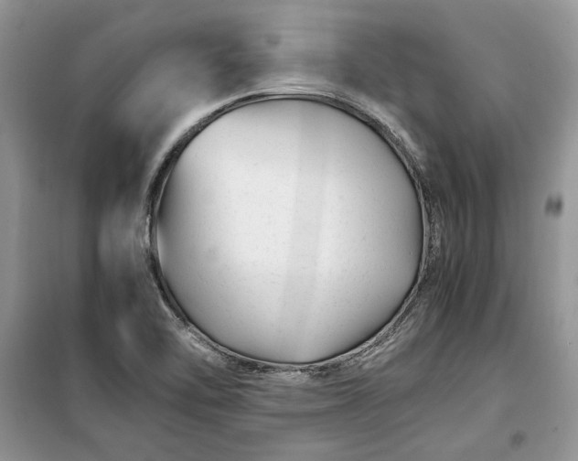 X0000099511462200805291139