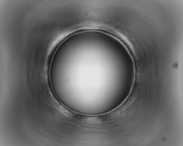 X0000099511464200805291139