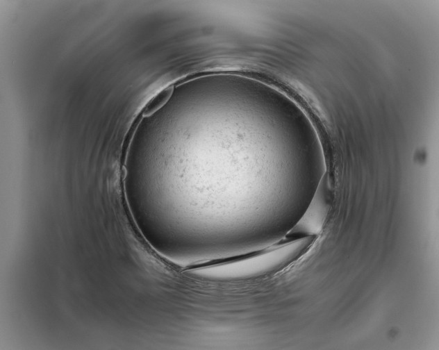 X0000099511465200805291139