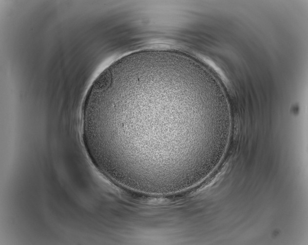 X0000099511467200805291139