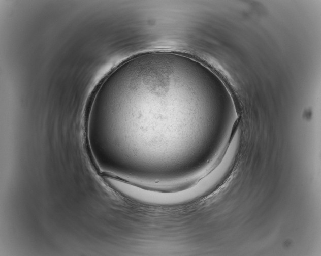 X0000099511469200805291139