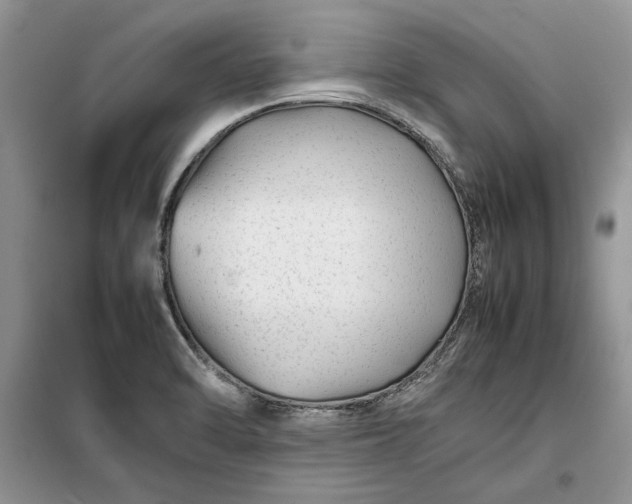 X0000099511470200805291139