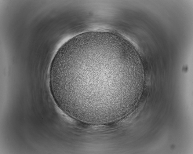 X0000099511471200805291139