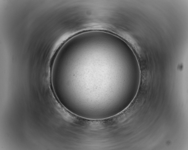 X0000099511472200805291139