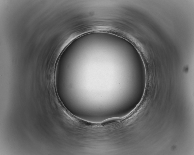 X0000099511473200805291139