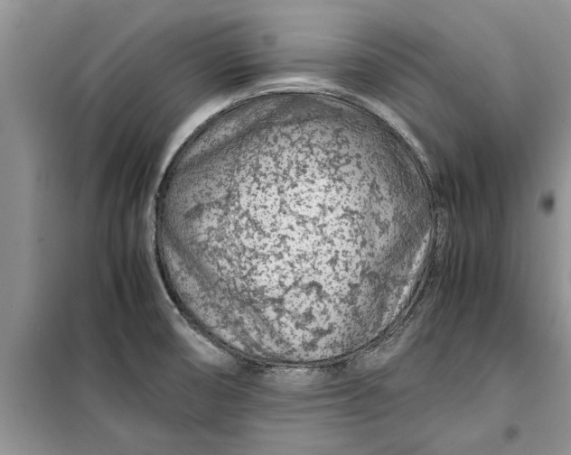 X0000099511474200805291139