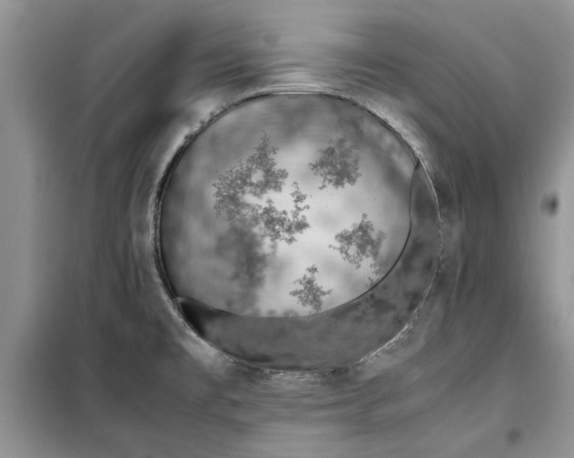 X0000099511477200805291139