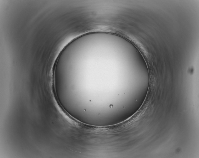 X0000099511479200805291139