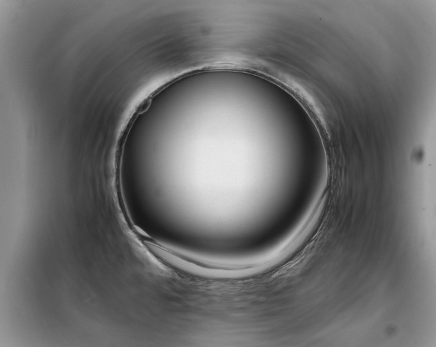 X0000099511480200805291139