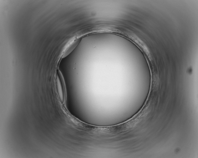 X0000099511481200805291139