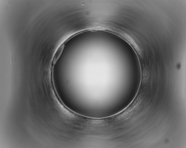 X0000099511484200805291138