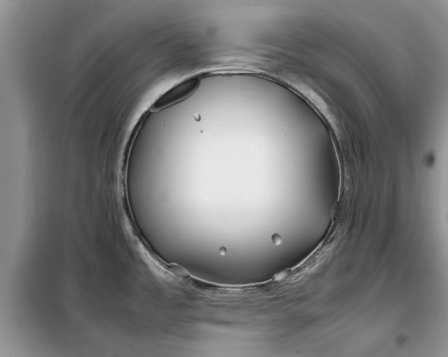 X0000099511485200805291138
