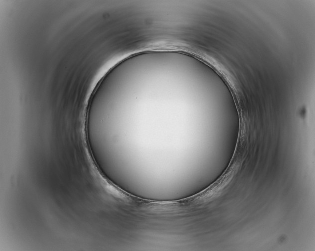 X0000099511486200805291138