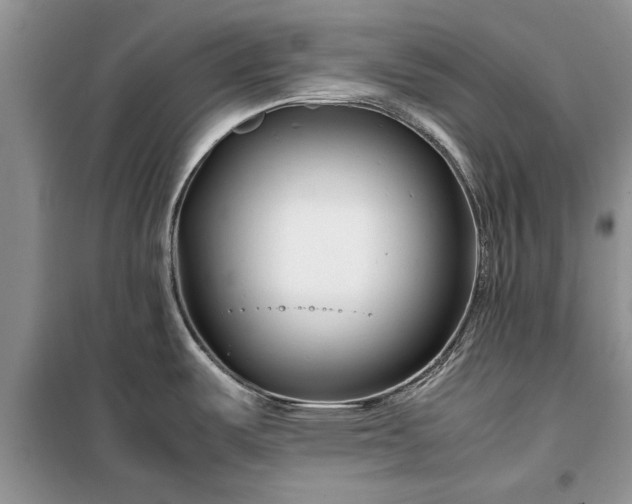 X0000099511487200805291138