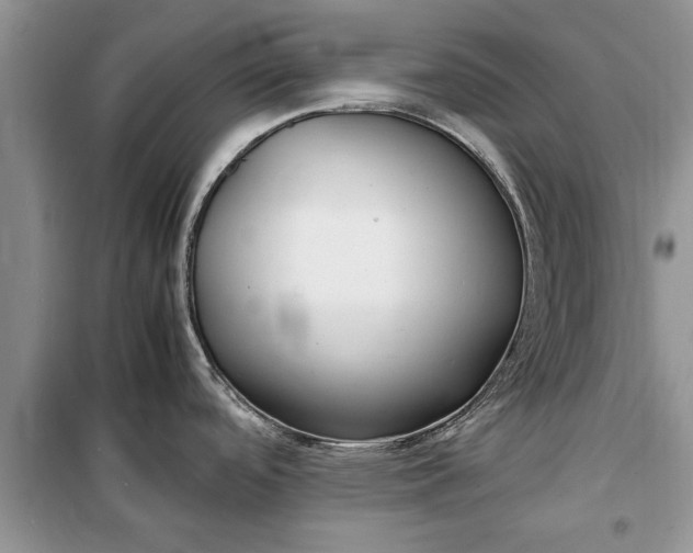 X0000099511488200805291138