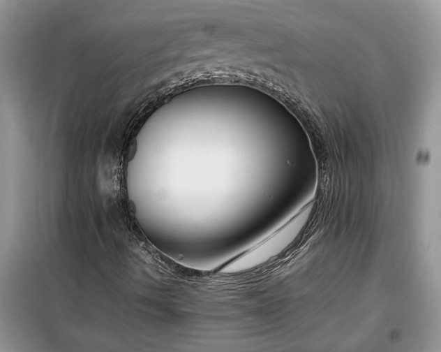 X0000099511490200805291138