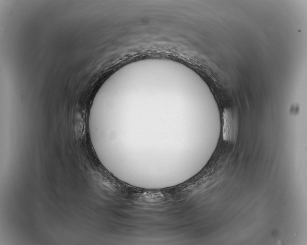 X0000099511491200805291138