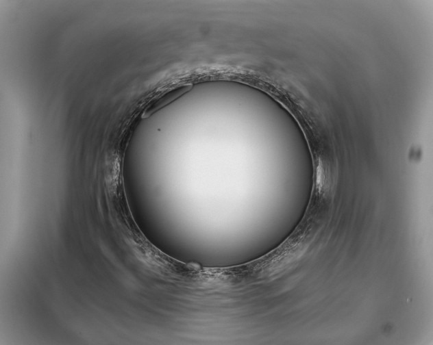 X0000099511492200805291138