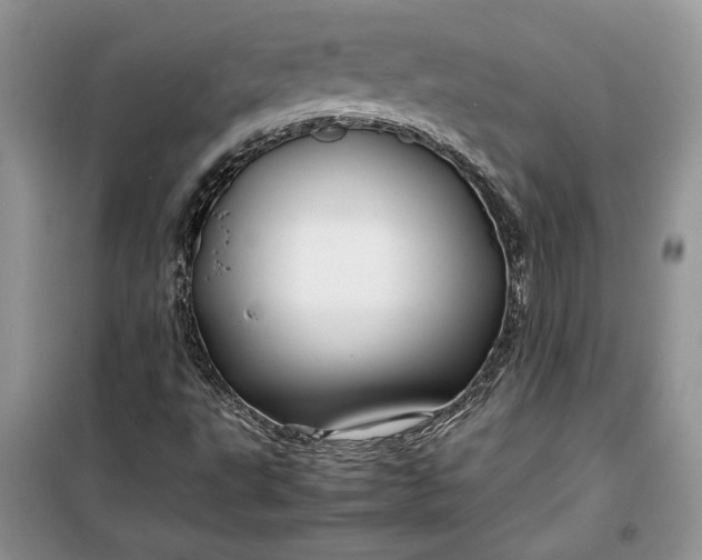 X0000099511495200805291138
