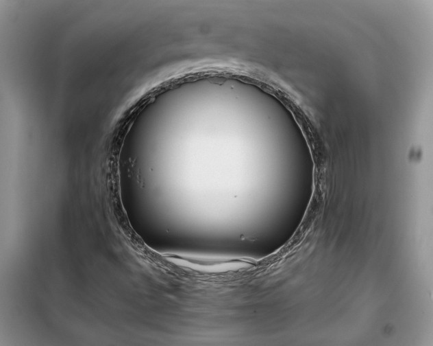X0000099511496200805291138