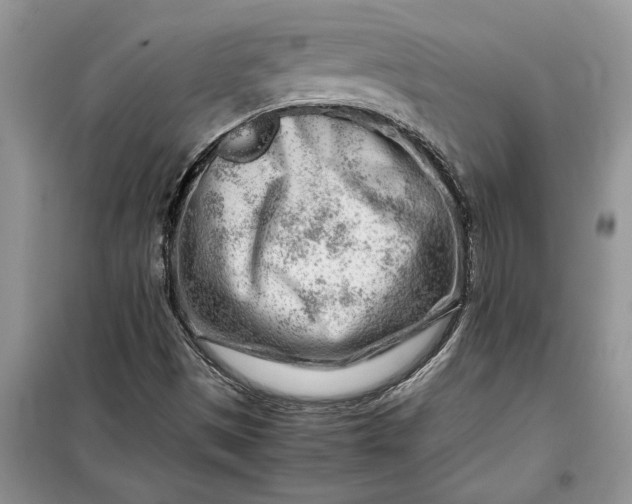 X0000099511497200805291138