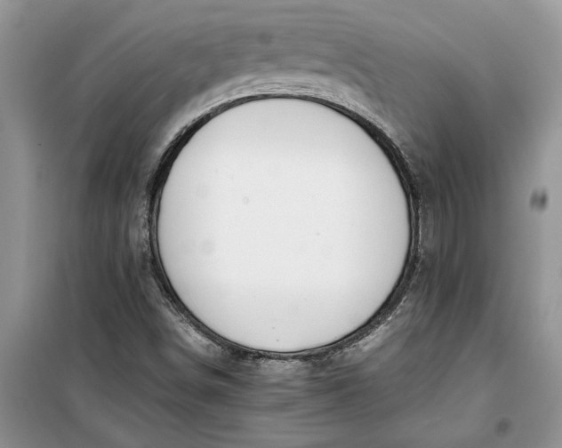 X0000099511498200805291138