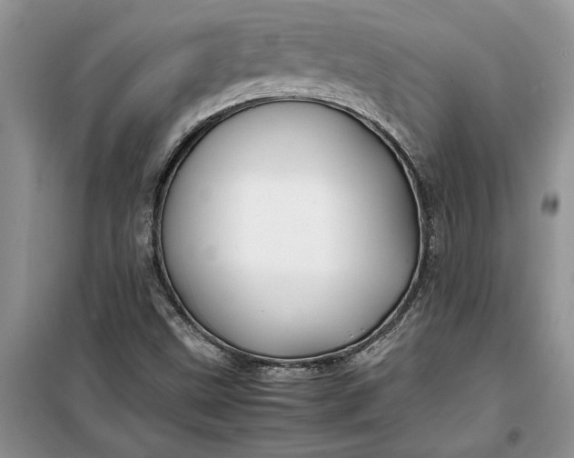 X0000099511499200805291138