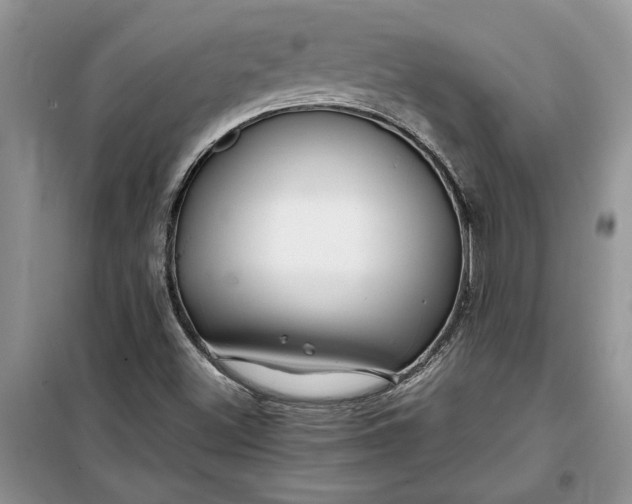 X0000099511500200805291138