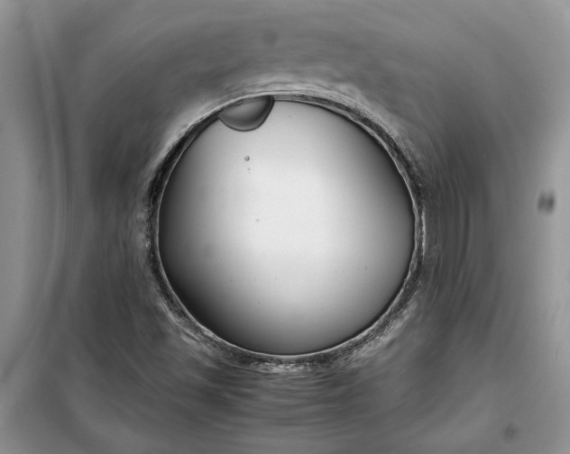 X0000099511501200805291138