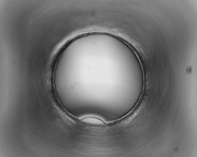 X0000099511502200805291138
