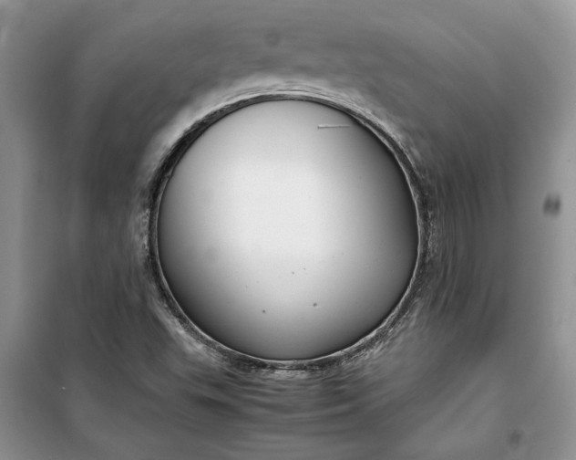 X0000099511503200805291138