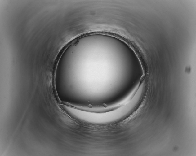 X0000099511505200805291138