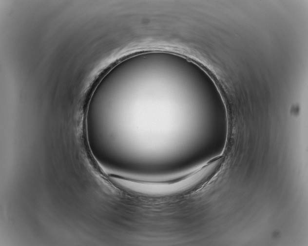 X0000099511507200805291138
