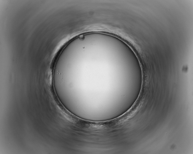 X0000099511509200805291138