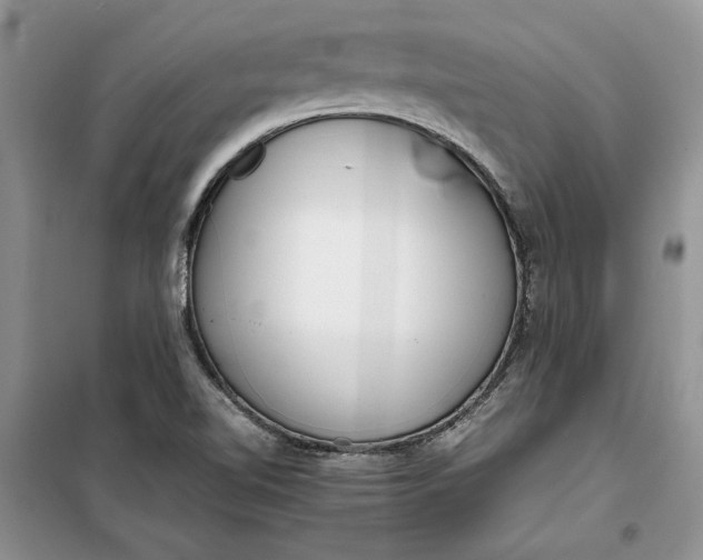 X0000099511510200805291138