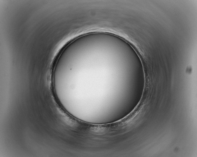 X0000099511511200805291138