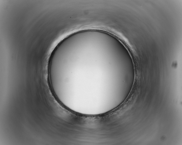 X0000099511512200805291138