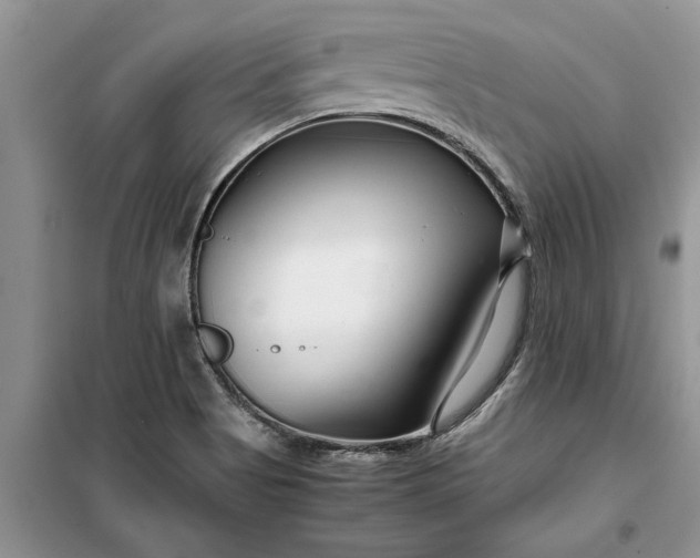 X0000099511513200805291138