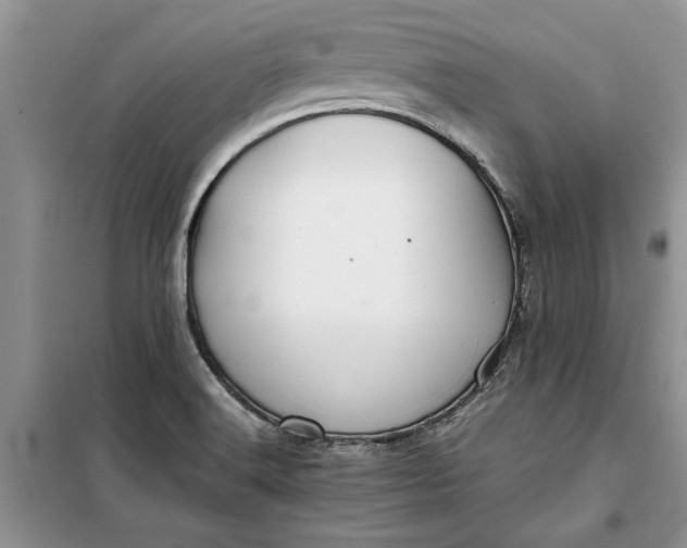 X0000099511516200805291138
