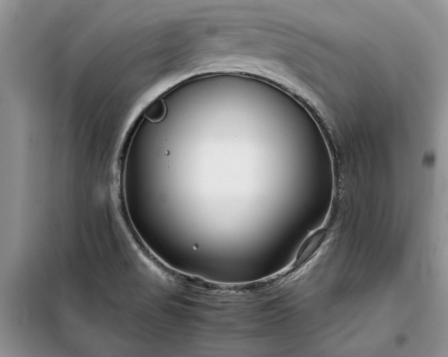 X0000099511517200805291138
