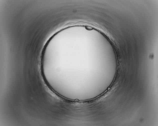 X0000099511518200805291138