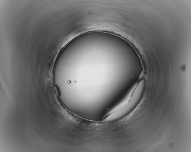 X0000099511521200805291138