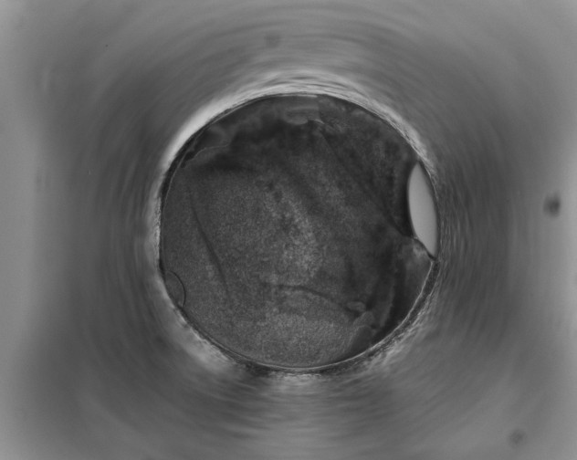 X0000099511522200805291138