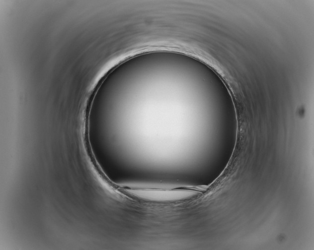 X0000099511523200805291138