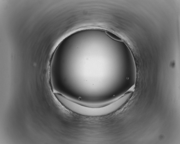 X0000099511524200805291138