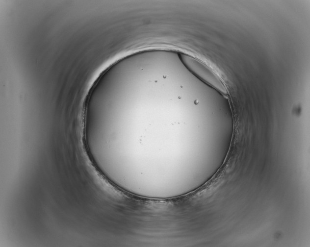 X0000099511526200805291138