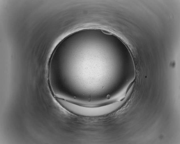 X0000099511527200805291138