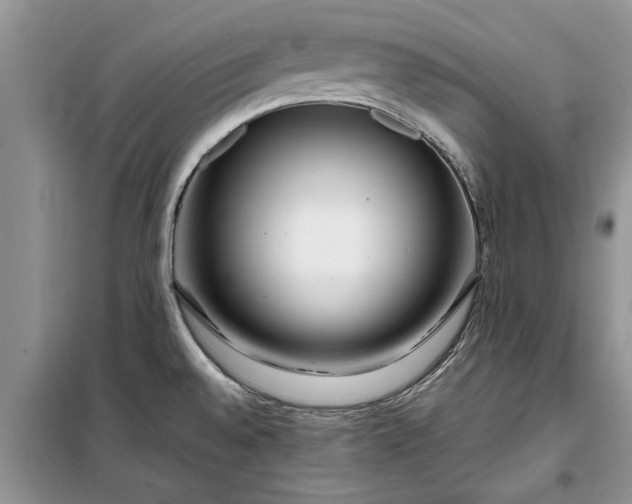 X0000099511528200805291138