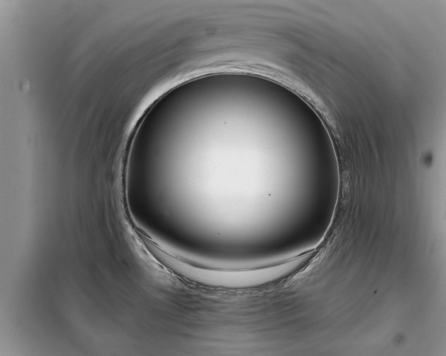 X0000099511530200805291138