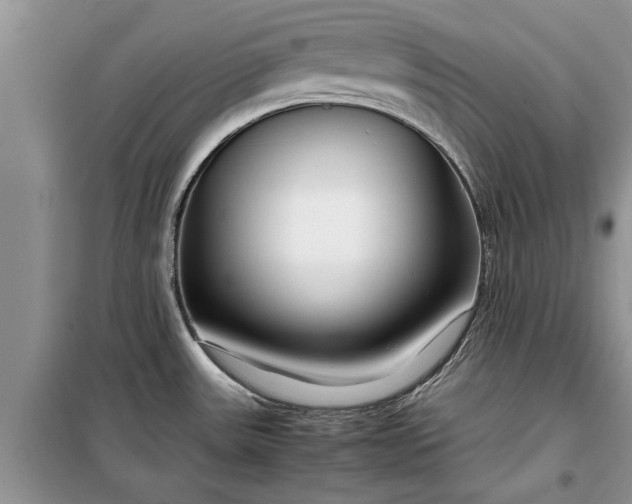 X0000099511531200805291138